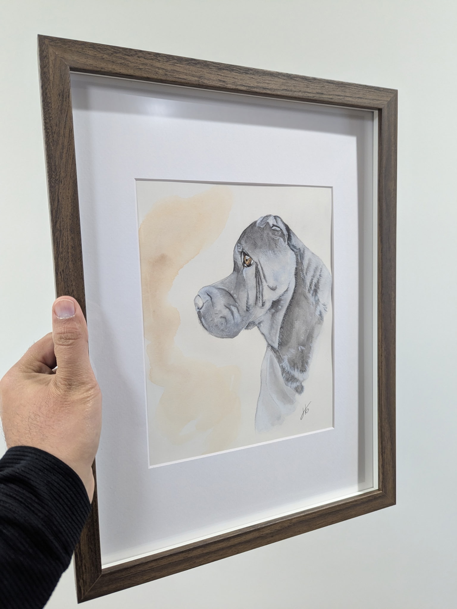 Watercolor portrait of a dog in profile, framed in walnut