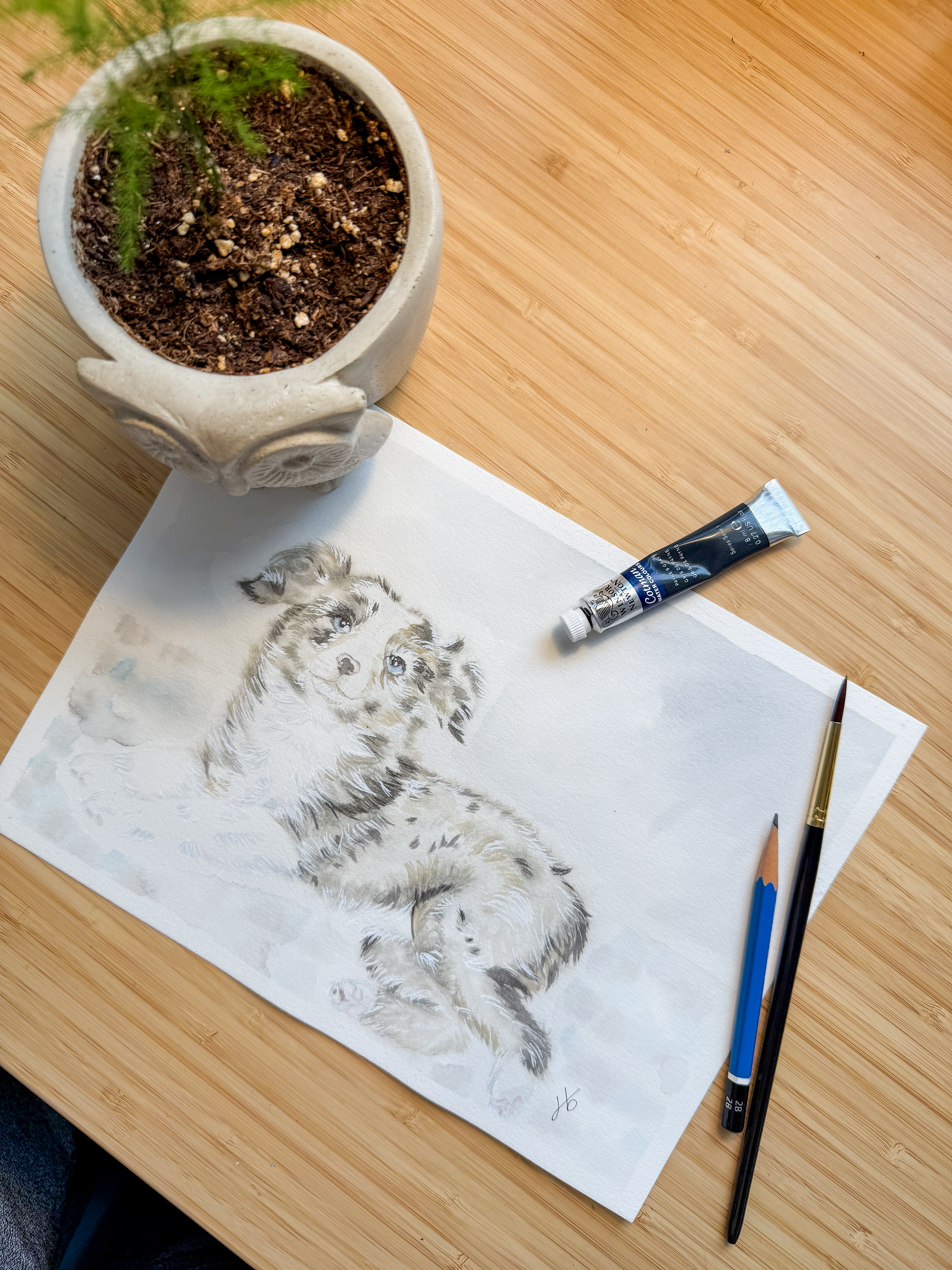 Pencil and graphite sketch of a border collie puppy on a wooden desk with brushes and a planter