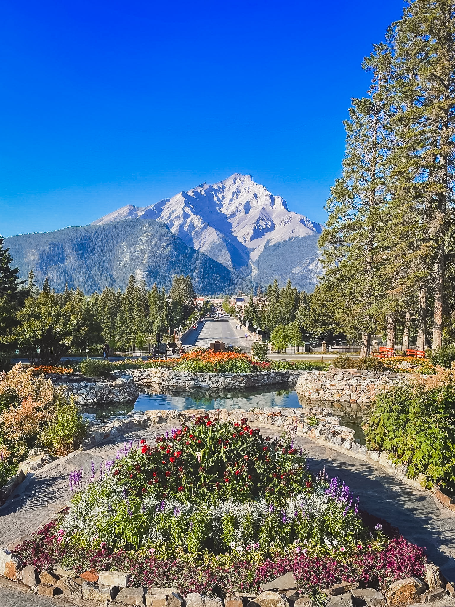 Banff Blog